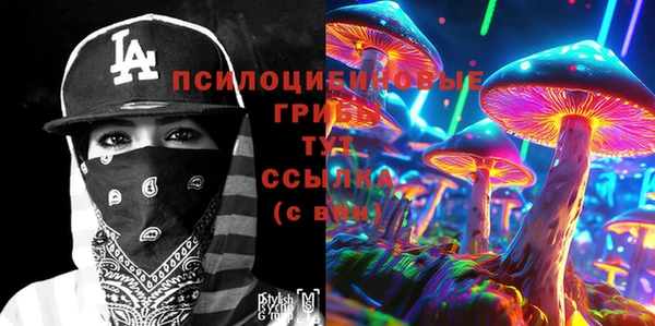 a pvp Алексин